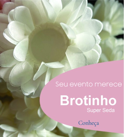 Novidades