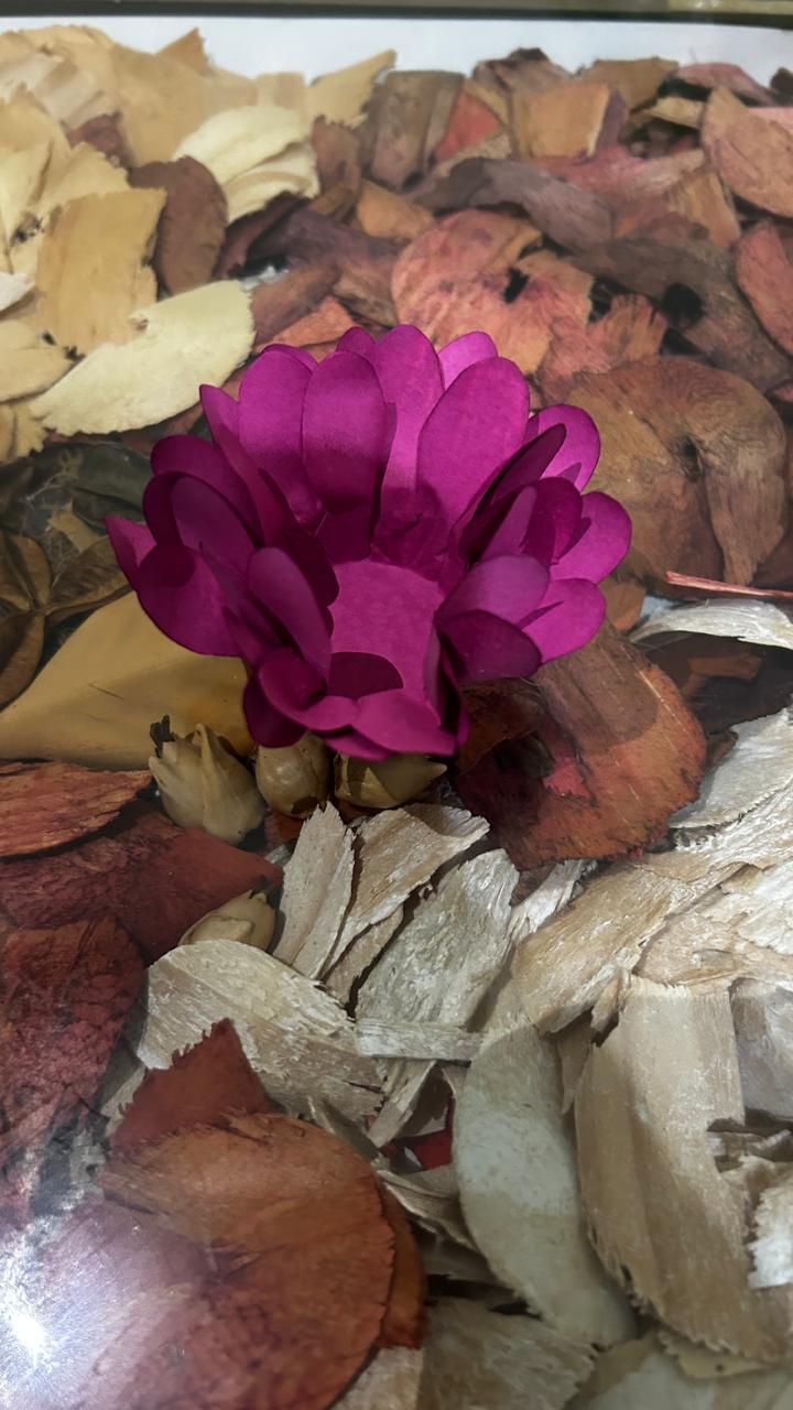 Forminha Aylla – Delicada e Feita à Mão | Papel Tingido | Kit 100 unid