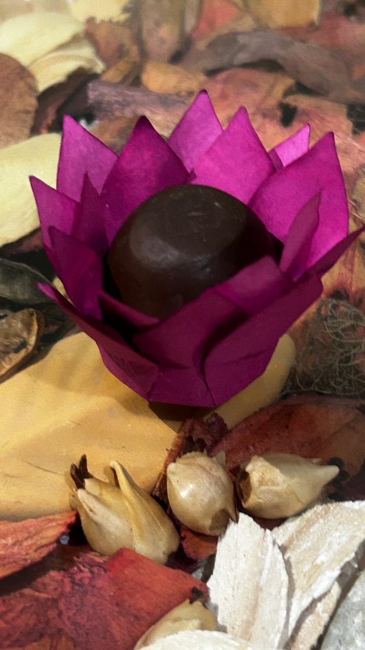 Forminha Peonia – Leve, Elegante e Minimalista | 100 unid